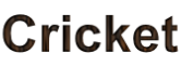 Cricket