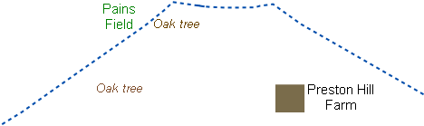 Oak tree